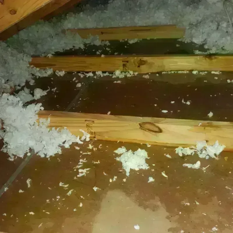 Attic Water Damage in Palmer, AK