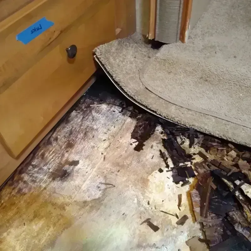 Best Wood Floor Water Damage Service in Palmer, AK